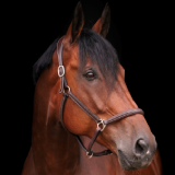 basicstable01 logo